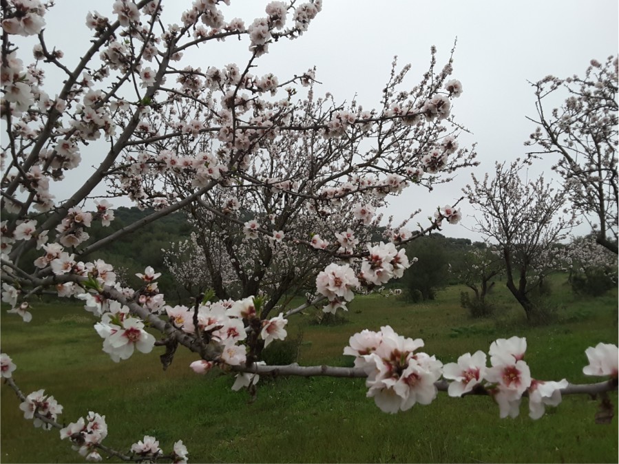 Immagine copertina del articolo